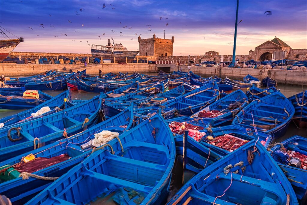 9 Days Moroccan Tour from Casablanca
