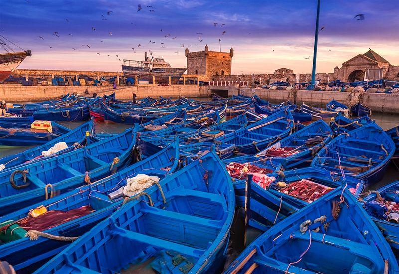 Marrakech to Essaouira Day Trip