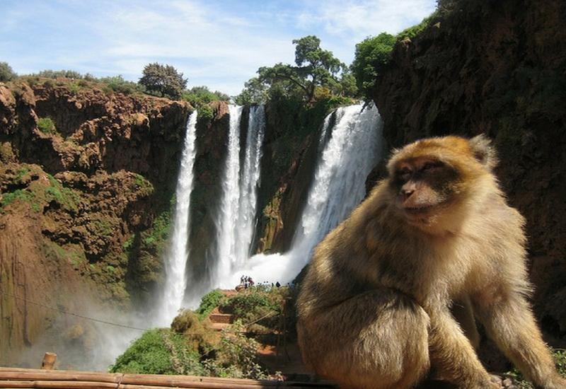 Ouzoud Waterfalls Day Trip from Marrakech